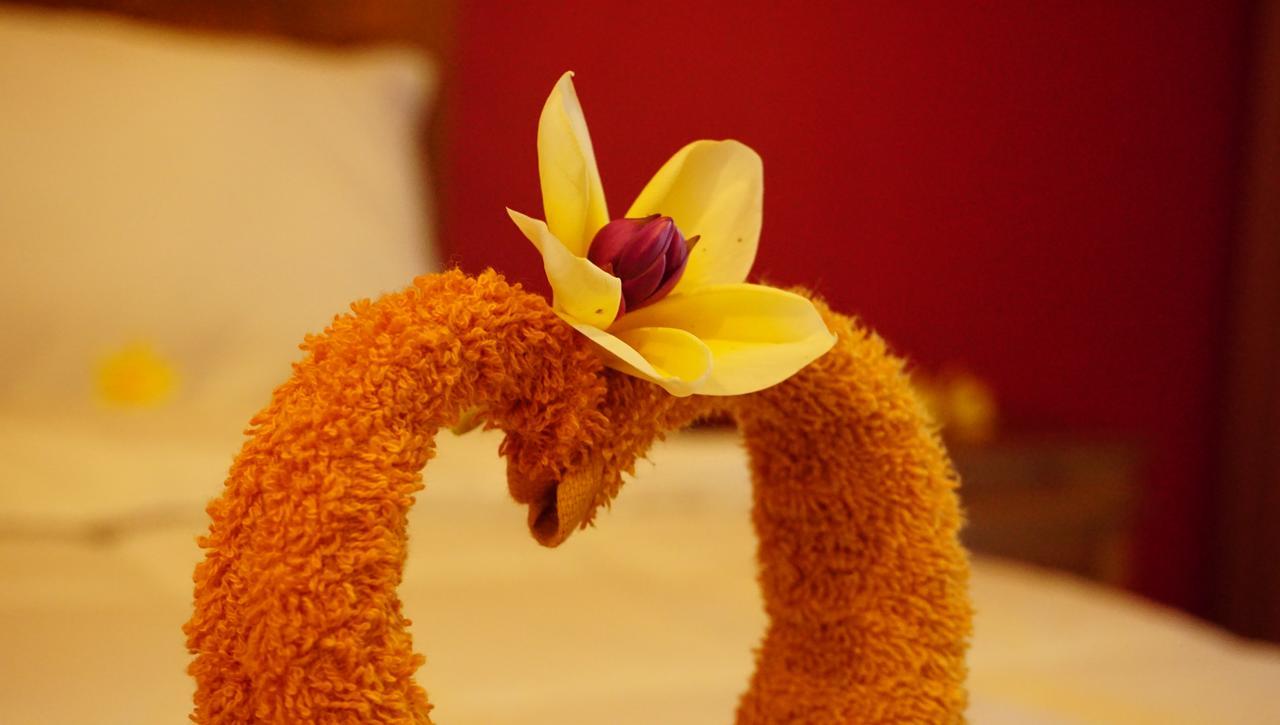 Nyuh Gading Accommodation Ubud Ngoại thất bức ảnh